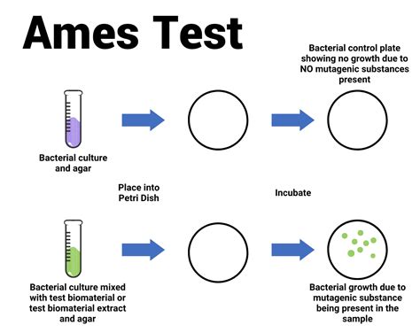 ames test results interpretations